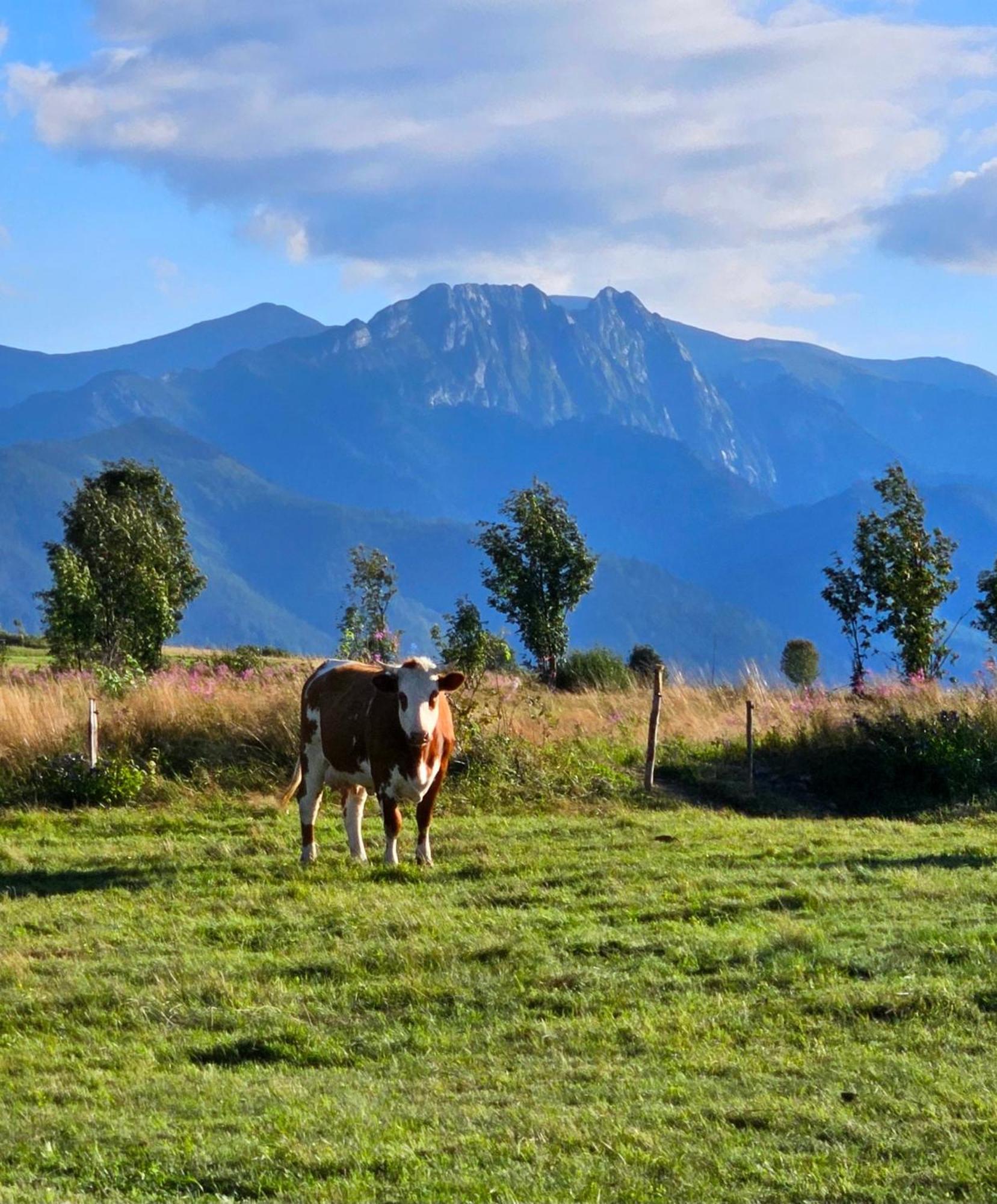 Goralska Chatka 3 Highland Cottage - Jacuzzi, Sauna, Split Ac, Private Parking, Mountains View Chalet Zakopane