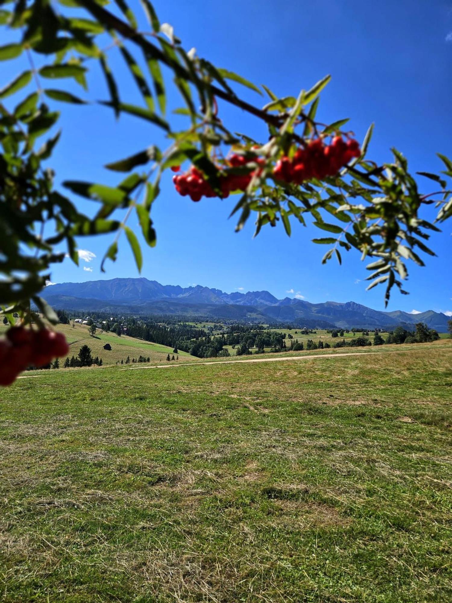 Goralska Chatka 3 Highland Cottage - Jacuzzi, Sauna, Split Ac, Private Parking, Mountains View *