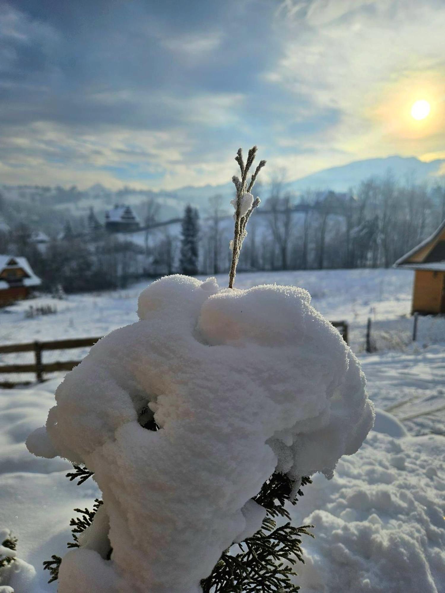 Chalet Goralska Chatka 3 Highland Cottage - Jacuzzi, Sauna, Split Ac, Private Parking, Mountains View